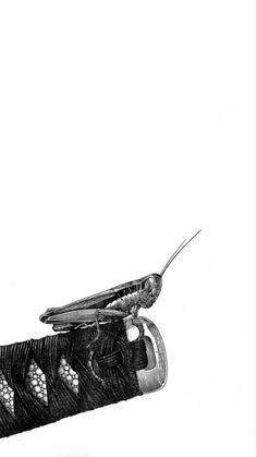 a drawing of a praying mantissa sitting on top of a black umbrella handle