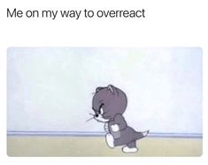 a cartoon cat with the caption me on my way to overreact