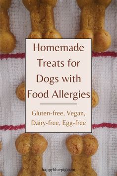 homemade treats for dogs with food allergies gluten - free, vegan dairy - free, egg - free