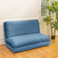 a blue couch sitting on top of a wooden floor next to a potted plant