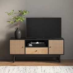 an entertainment center with a plant and television on it's stand, in front of a gray wall