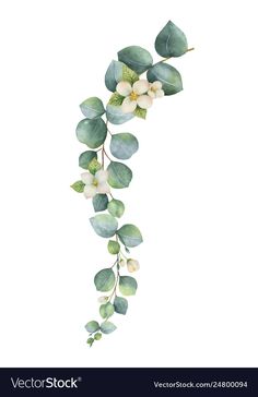 watercolor painting of green leaves and flowers on a white background with space for text