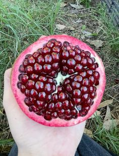 a person holding up a pomegranate in their hand with grass and dirt behind it