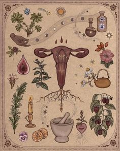 Artipoppe Zeitgeist, Hormonal Health, Magia Das Ervas, Medicine Woman, Season Of The Witch