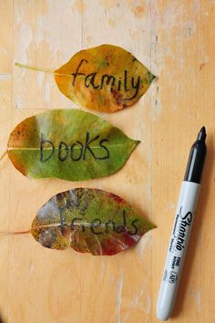 three leaves with words written on them sitting next to a marker that says family books