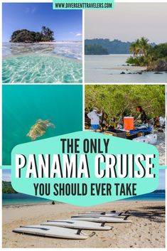 the only panama cruise you should ever take is in this collage with images of people and sea turtles