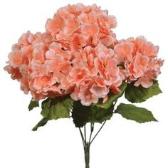 a bouquet of pink flowers on a white background