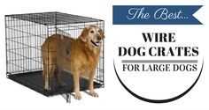 a dog in a cage with the words wire dog crates for large dogs on it