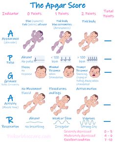 the baby's diaper score chart with instructions for how to put it on