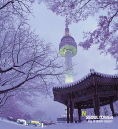 전경이미지 Winter In Korea, Korea Itinerary, Korea Winter