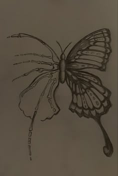 a drawing of a butterfly on a piece of paper