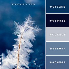 the color scheme is blue and gray with white snowflakes on it, including one plant