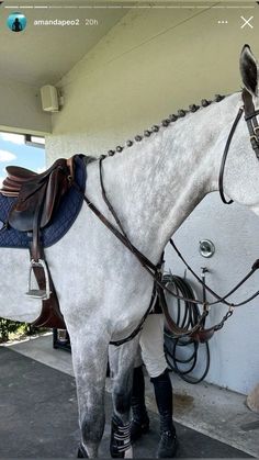 a white horse standing next to a building with saddles on it's back