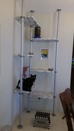 a cat sitting on top of a white shelf