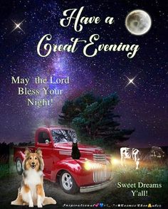 a dog and cat sitting in front of a red truck with the words have a great evening