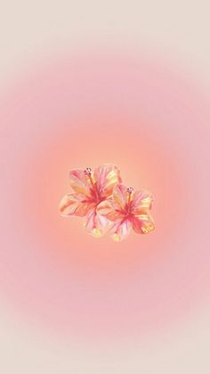 two pink flowers floating in the air on a pink and white background with light reflection