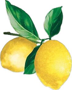 two lemons with green leaves on them