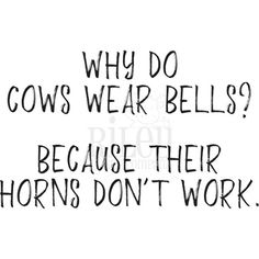 a black and white photo with the words, why do cows wear bells? because their horns don't work