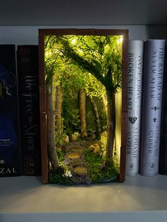 a book shelf with several books on it and an open door leading to a path in the woods