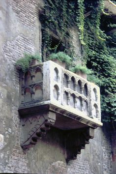 an old balcony with plants growing on it