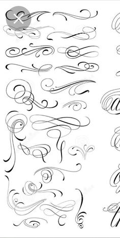 the different types of swirls and curves in calligraphy, which are drawn by hand