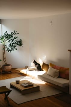 a cat sitting on top of a couch in a living room next to a window