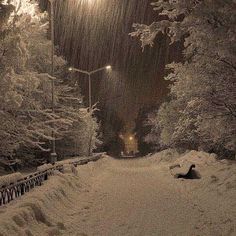 a snow covered road at night with street lights in the distance and trees on either side