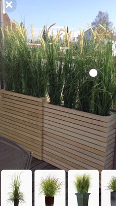 some plants are growing in a planter on the roof terrace, which is also being used as a garden divider