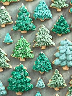 christmas cookies decorated with green and white icing are arranged in rows on a baking sheet