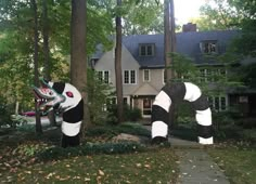 two inflatable pandas are standing next to each other on the grass outside of a house