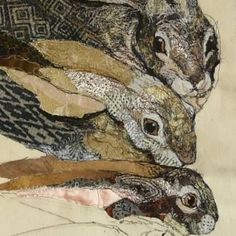 an image of three rabbits with different patterns on it's body and one is looking at the camera