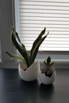 two eggs with plants in them sitting on a table