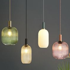 four different colored glass pendant lights hanging from a gray wall next to a potted plant