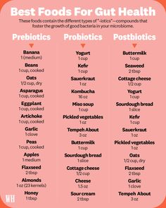 Healing The Gut, Foods For Gut Health, Heal Your Gut, Gut Health Recipes, Prebiotics And Probiotics, Improve Gut Health, Gut Healing