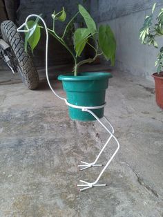 a potted plant is connected to a wire on the ground with a tire in the background