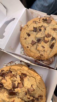 two large chocolate chip cookies in a box