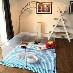 a cat house with cats in it on a blue and white checkered rug next to a ladder