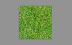 green grass is shown in the middle of an image, with no background or text