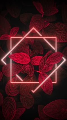 the neon frame is surrounded by red leaves and greenery on a black background with a white rectangle in the center