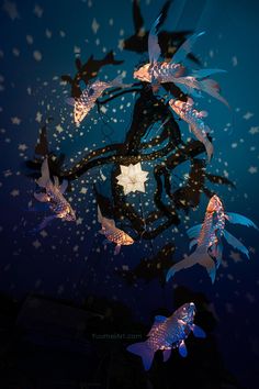 a group of fish that are floating in the air with stars on it's back