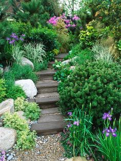 a garden with rocks and plants growing on the sides, along with steps leading up to it