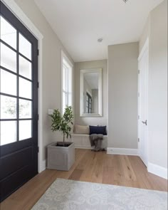 a room with a door, mirror and potted plant on the floor in front of it