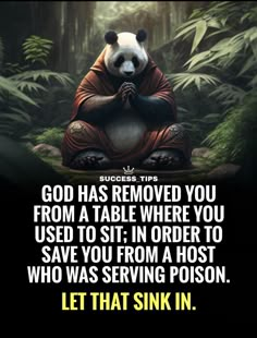 a panda sitting in the middle of a forest with his hands clasped to his chest