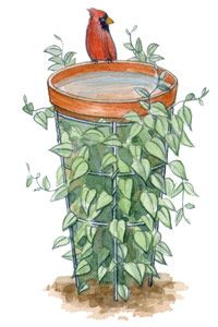 a drawing of a bird sitting on top of a planter filled with green leaves