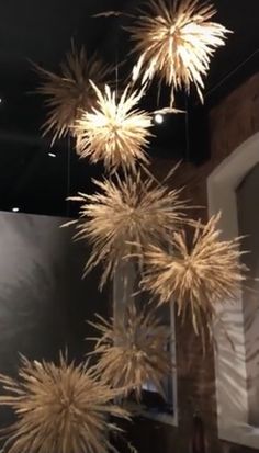 some very pretty flowers hanging from the ceiling in a room with black walls and lights