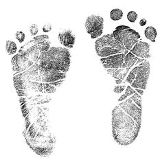 two footprints are shown in the shape of an animal's paw and foot prints