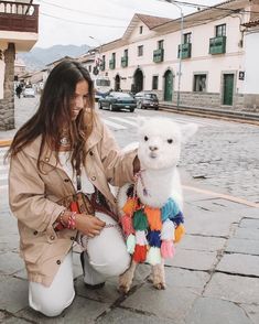 a woman kneeling down next to a white llama