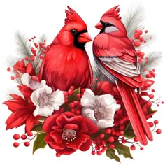 two red birds sitting on top of a bouquet of white and red flowers next to each other