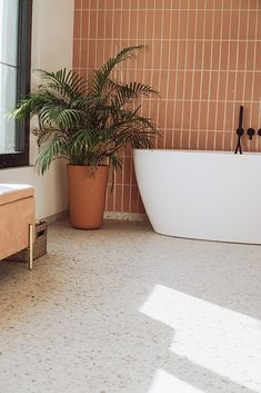 a bath tub sitting next to a window with a plant in it and a mirror on the wall