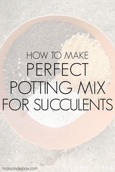 how to make perfect potting mix for succulents on a plate with the words, how to make perfect potting mix for succulents